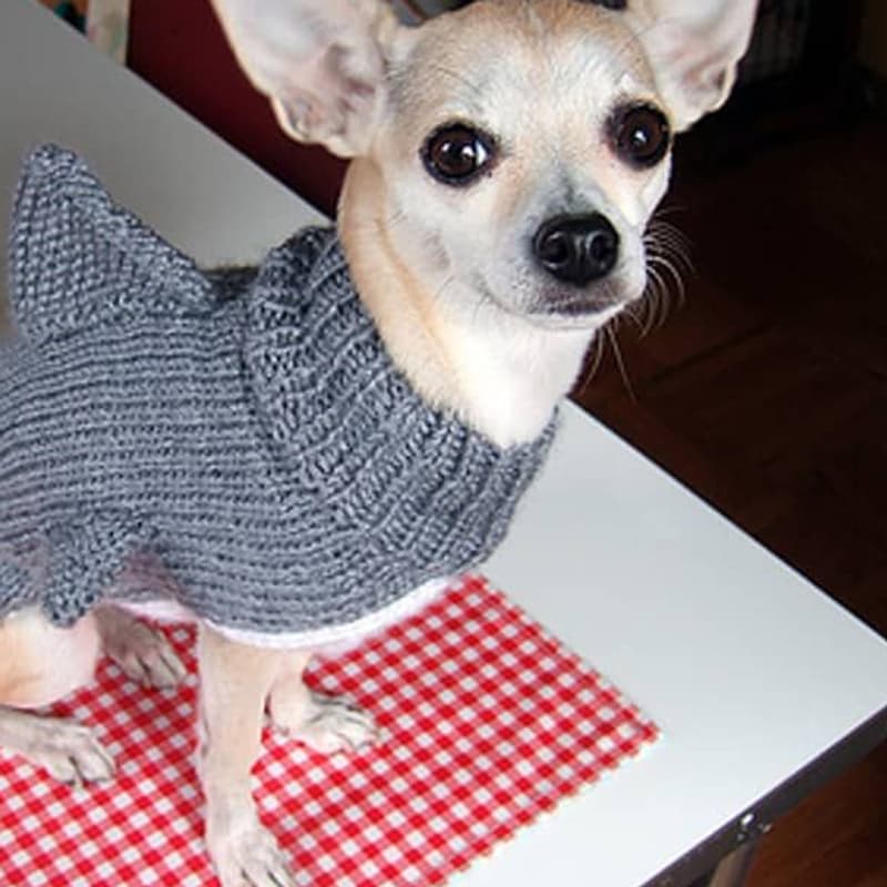 frijol's roommate, accountant.